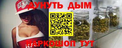 МДПВ Можга
