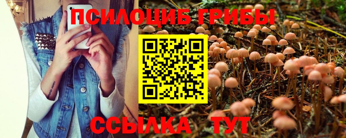 Галлюциногенные грибы Psilocybine cubensis  Вход с VPN  Скопин  Галлюциногенные грибы Psilocybe 