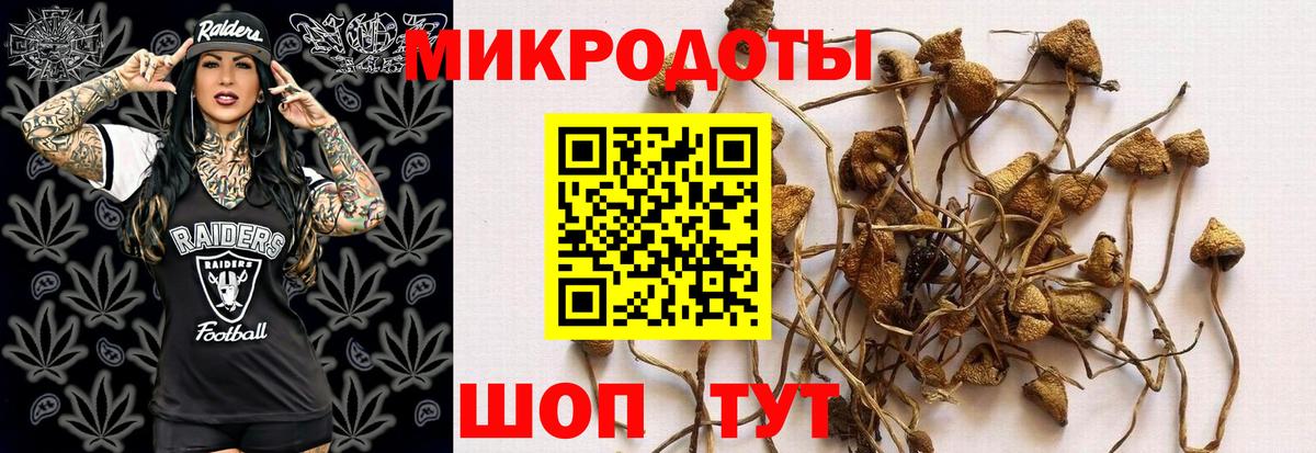 Галлюциногенные грибы GOLDEN TEACHER Скопин